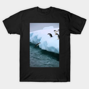 Gentoo penguins going for fishing T-Shirt